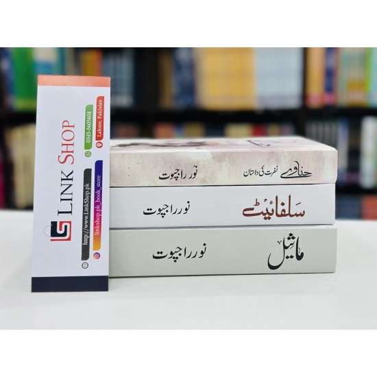 Set of 3 Novels of Noor Rajput