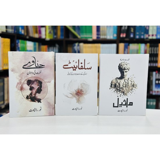 Set of 3 Novels of Noor Rajput