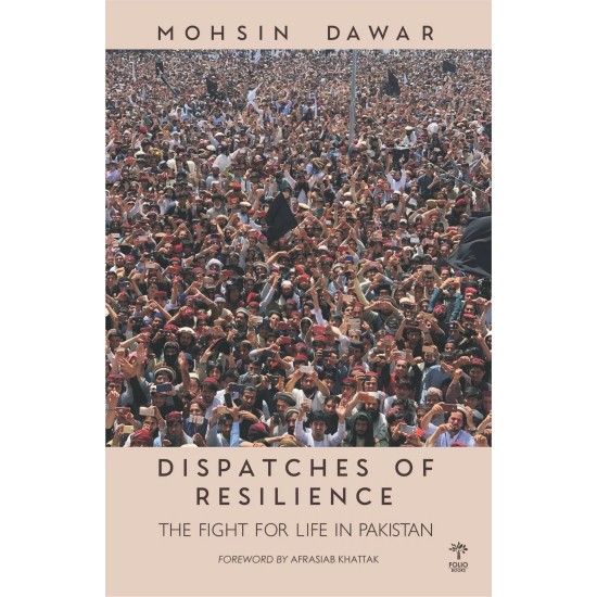 Dispatches Of Resilience : The Fight For Life In Pakistan