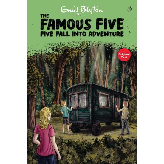 Five Fall Into Adventure - The Famous Five (Book 9)